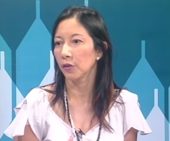 Diálogos desde la Colmena #47 – Karin Yancen