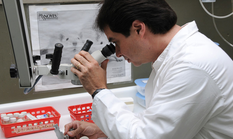 Profesor Víctor Tortorici es premiado como investigador