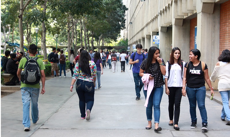 De los pupitres a los curules