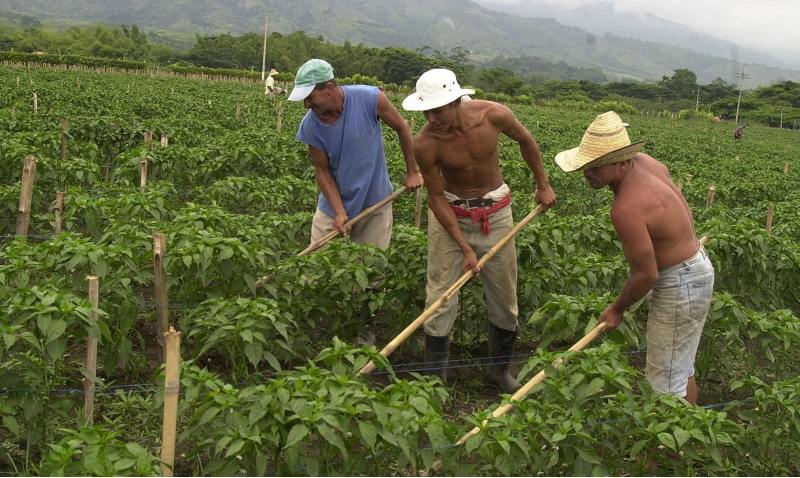 Curso de ampliación de análisis demográfico