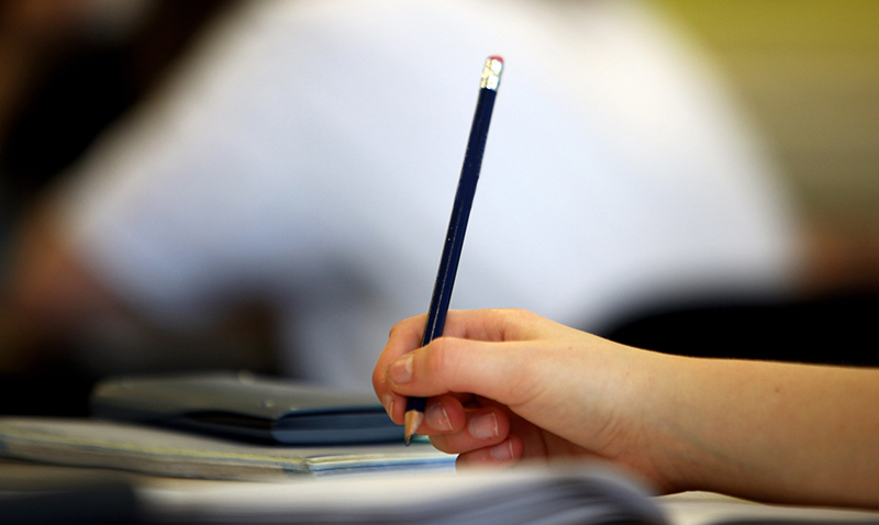 Ocho especialidades educativas