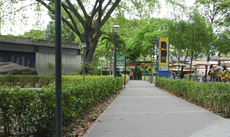 Fotogalería: La universidad antes y después de comenzar clases