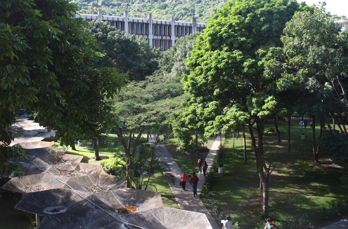 Sedes de la UCAB nuevamente entre las más sostenibles de Venezuela, según UI GreenMetric 2023