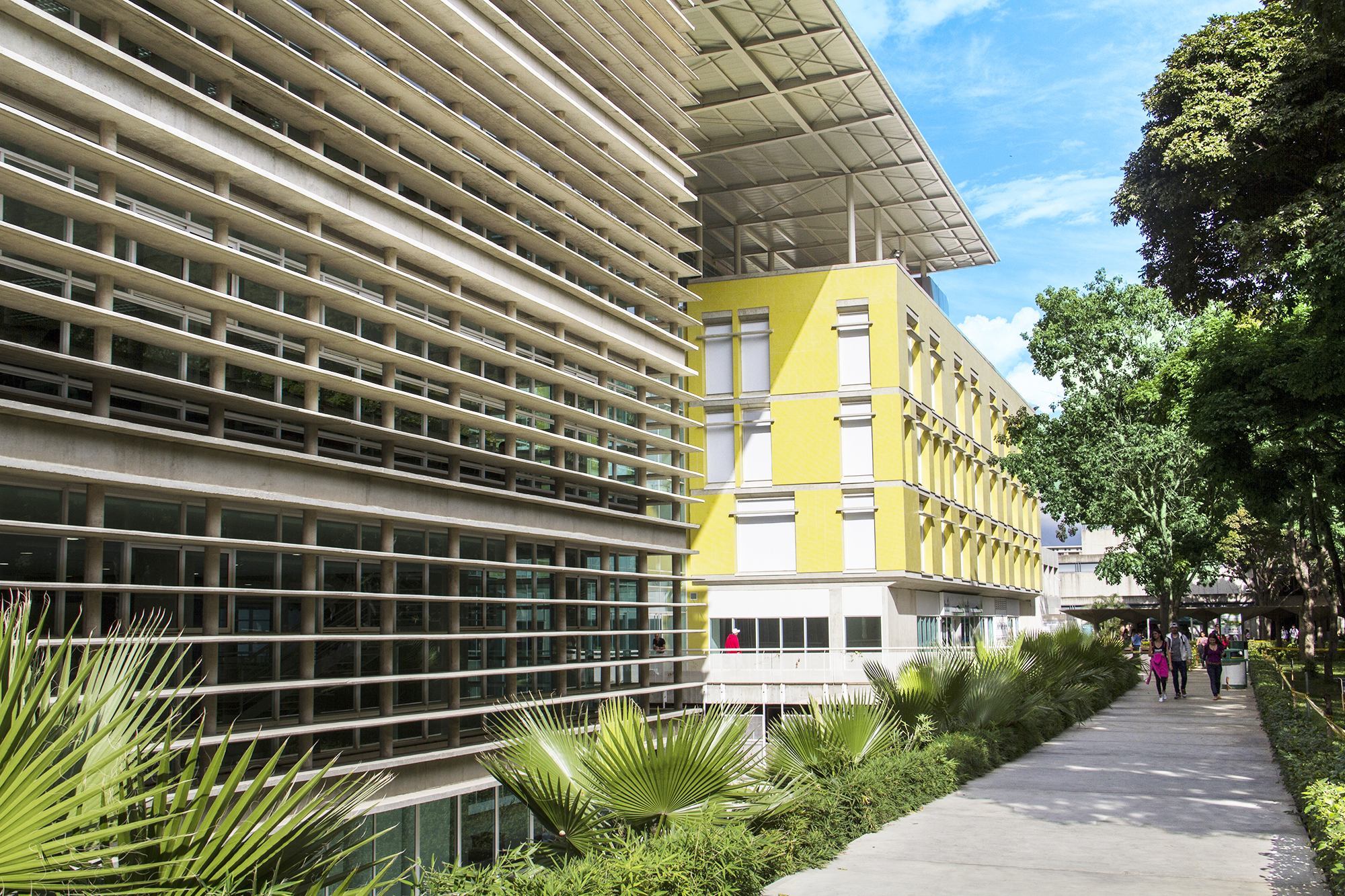 Centro Cultural Padre Carlos Guillermo Plaza: Cinco años innovando