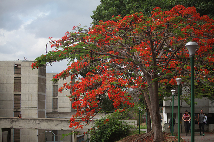 La UCAB convoca jornada de reflexión teológico-pastoral para construir salidas democráticas a la crisis