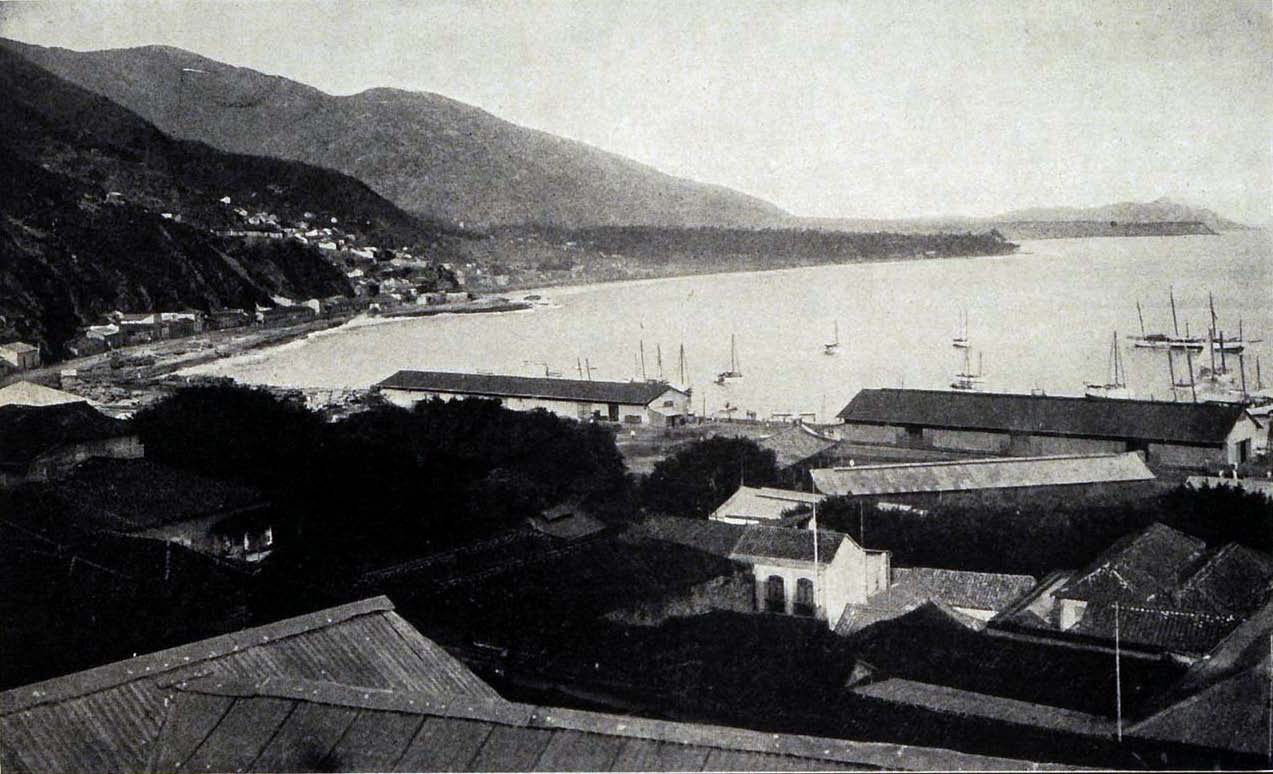 #EsHistoria: Una aproximación  a la epidemia  de peste bubónica de 1908 en Venezuela