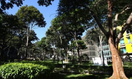 La UCAB nuevamente entre las 100 universidades más sustentables de Latinoamérica