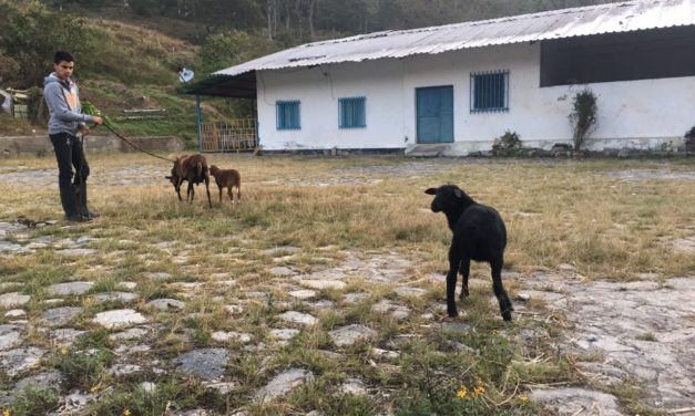 #CrónicasPAZando | Flores y frutos del padre Vélaz