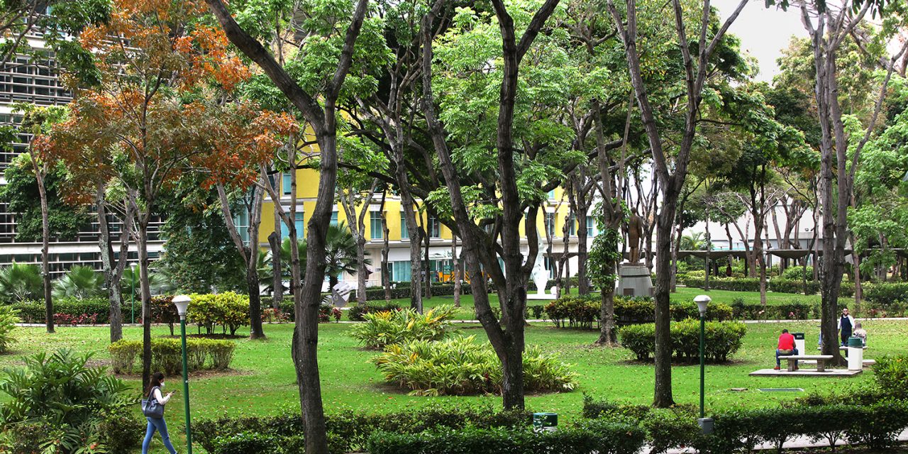 La UCAB y UCAB Guayana entre las 100 universidades más ecoamigables de América Latina: UI Green Metric 2021
