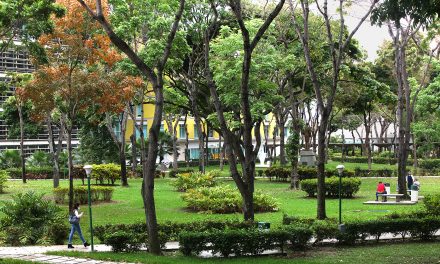 La UCAB y UCAB Guayana entre las 100 universidades más ecoamigables de América Latina: UI Green Metric 2021