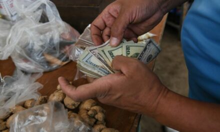 Crecimiento económico de 8,6% e inflación de 225% proyecta el IIES UCAB para este año