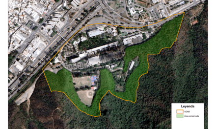 La UCAB establecerá área conservada en su campus Montalbán y se compromete a reducir su huella de carbono