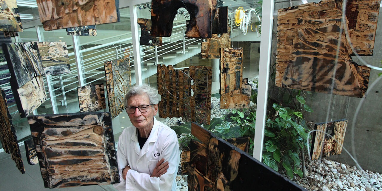 Samuel Baroni exhibirá su «bosque» de naturaleza y humanidad en la Sala Magis del Centro Cultural UCAB