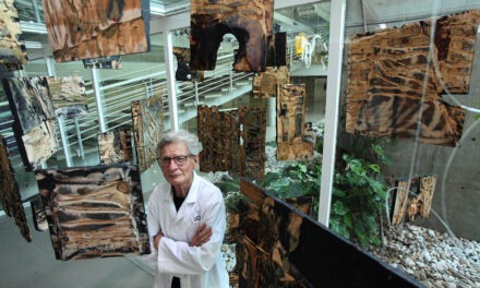 Samuel Baroni exhibirá su «bosque» de naturaleza y humanidad en la Sala Magis del Centro Cultural UCAB