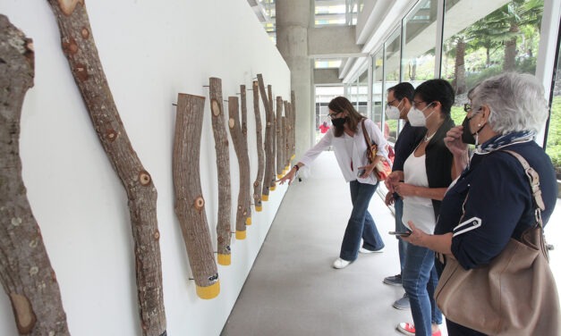 El Centro Cultural le da la bienvenida a la presencialidad con cinco exposiciones de arte