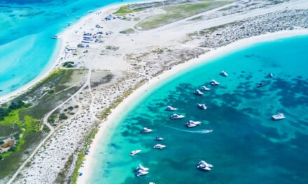 Director de Sustentabilidad Ambiental de la UCAB advierte peligros de proyecto turístico en La Tortuga