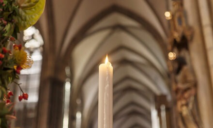 Navidad que rompe cadenas | Por Luis Ugalde