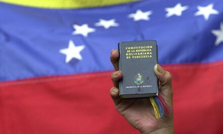 Constitución y cinismo político | Por Luis Ugalde