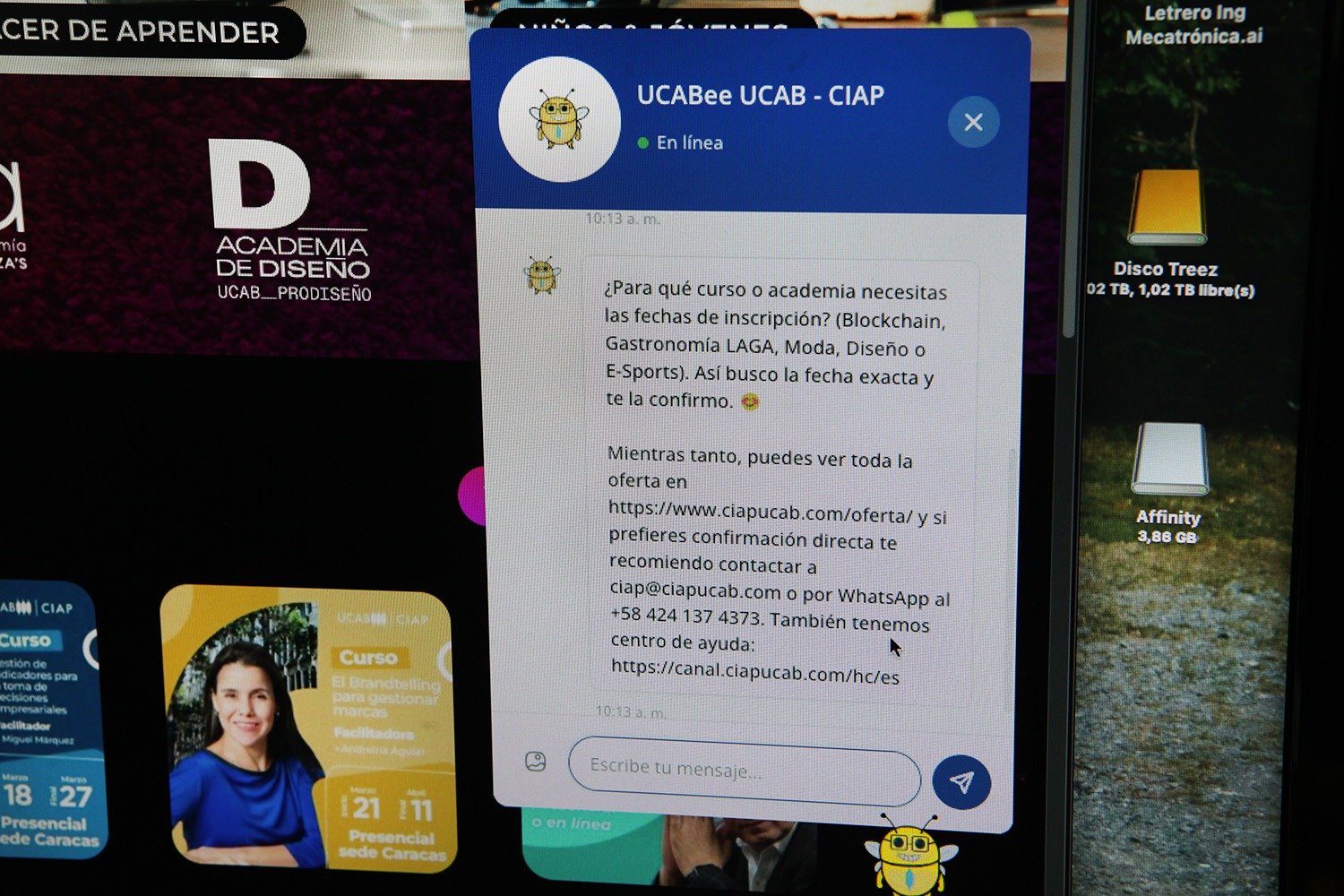 UCABee