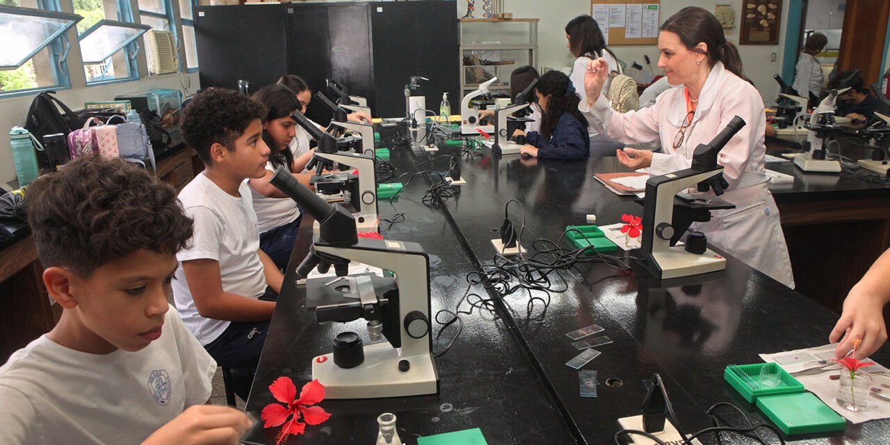 Educación UCAB: Propuesta de reorganización de contenidos del Ministerio pudiera generar impacto positivo