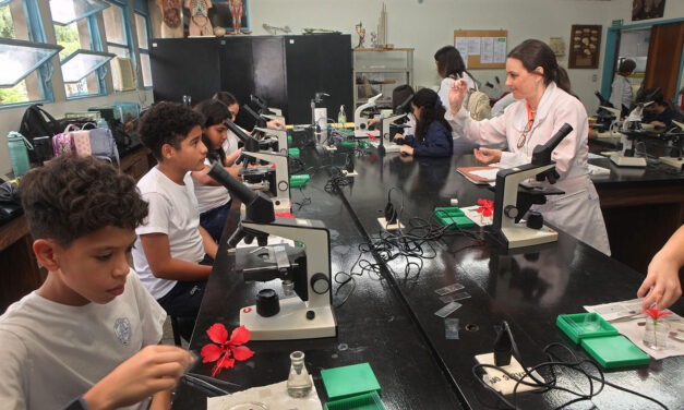 Educación UCAB: Propuesta de reorganización de contenidos del Ministerio pudiera generar impacto positivo