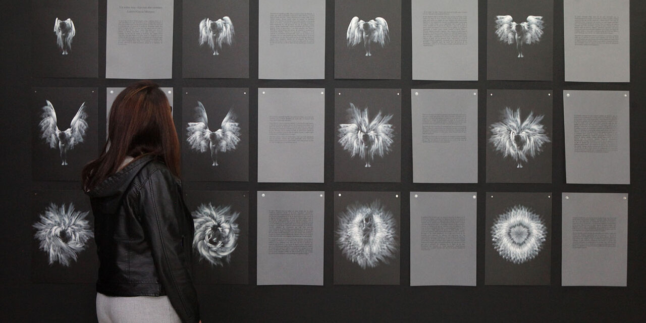 «Ex-Libris Meis»: una exposición para mirar el alma del libro en Biblioteca UCAB