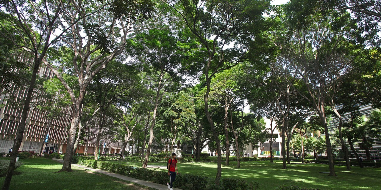 Más de 400 árboles contribuyen a reducir la huella de carbono de la UCAB