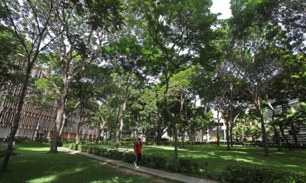 Más de 400 árboles contribuyen a reducir la huella de carbono de la UCAB