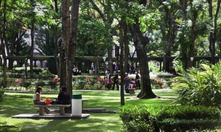 ¿Cómo avanza la UCAB en la reducción de su huella de carbono?