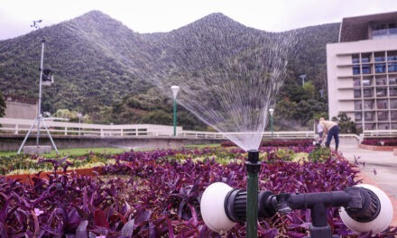 En el Techo Verde de la UCAB también se recicla el agua de lluvia