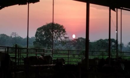 #CrónicasPAZando2023 |  El sol del Venao’