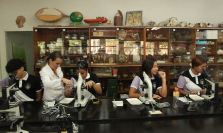 «Hay que estimular el interés de las niñas por la ciencia desde la educación inicial»