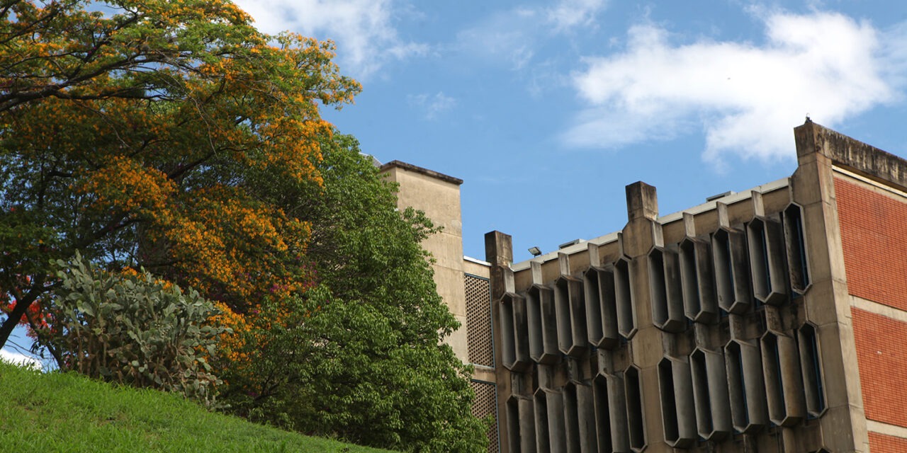 200 peldaños escaló la UCAB en el Impact Ranking 2024, listado internacional de desarrollo sostenible universitario