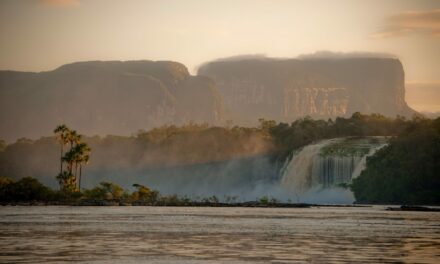La UCAB y Eco Alianza invitan a sumarse a la «Declaratoria Ecoturismo de Venezuela» con la promoción de la Amazonía como marca-país