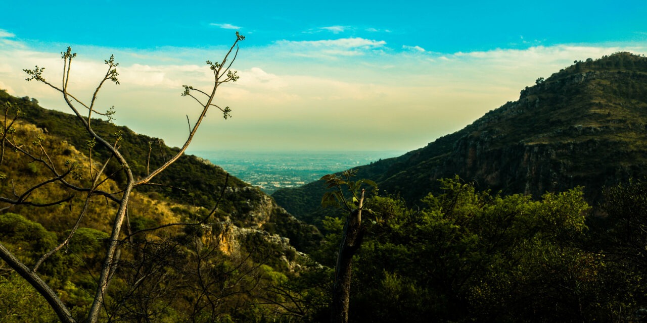 Congreso Internacional de Sostenibilidad 2026 impulsará alianza académica por el medioambiente y la inclusión