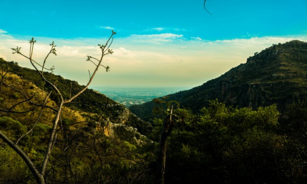 Congreso Internacional de Sostenibilidad 2026 impulsará alianza académica por el medioambiente y la inclusión